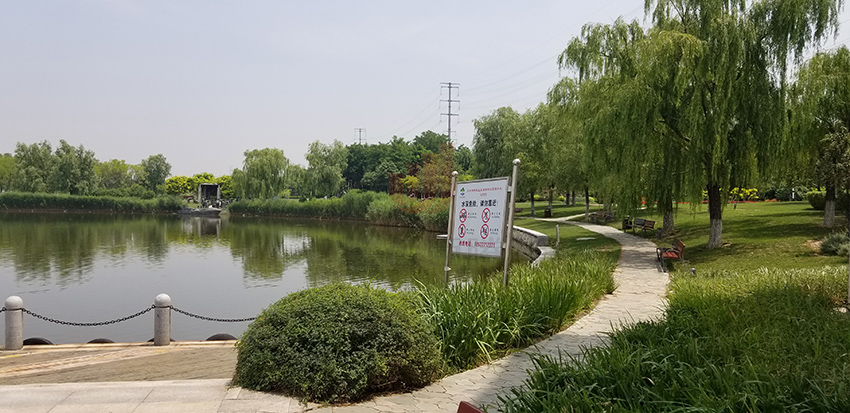 1625454379767985.jpg 1625454379767985.jpg